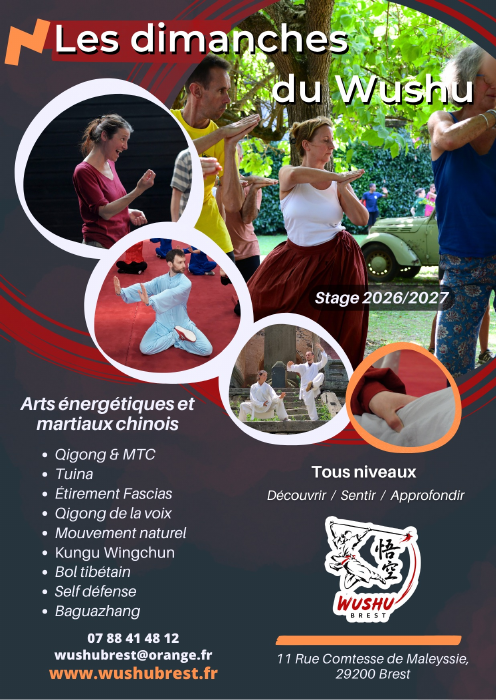 Affiche des Dimanches du Wushu