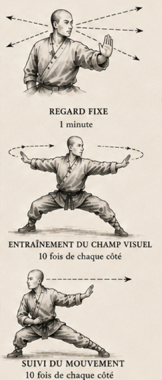 Exercices illustrés du regard : regard fixe, entraînement du champ visuel et suivi du mouvement