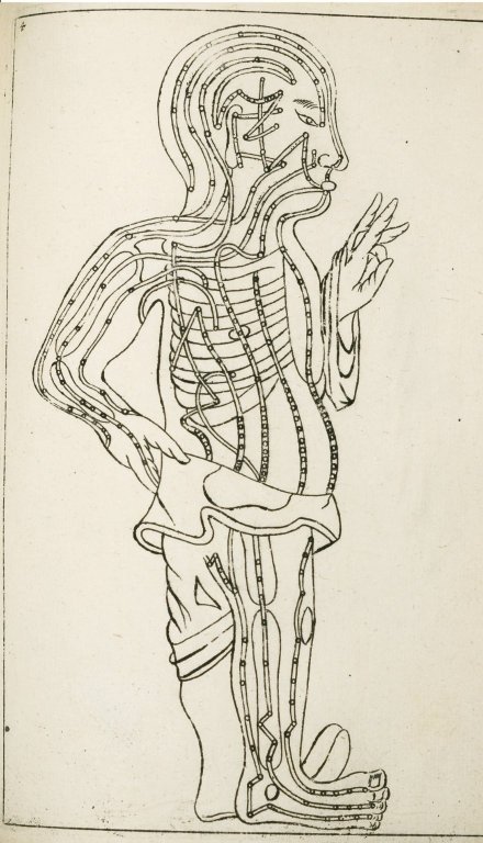 Dessin traditionnel des méridiens du corps humain